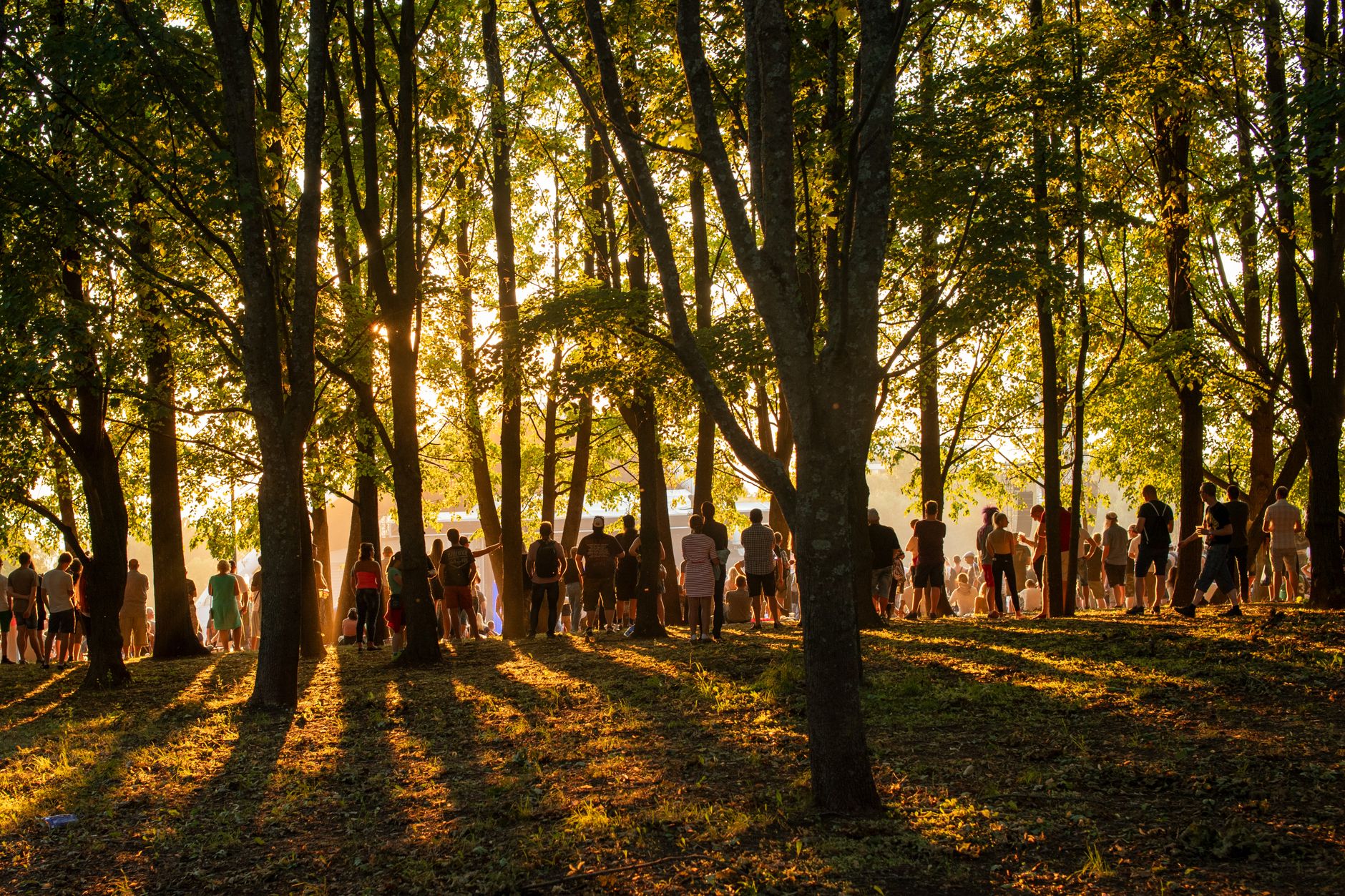 Gathering of people enjoying live music at Tallinn's song festival grounds during a summer sunset.