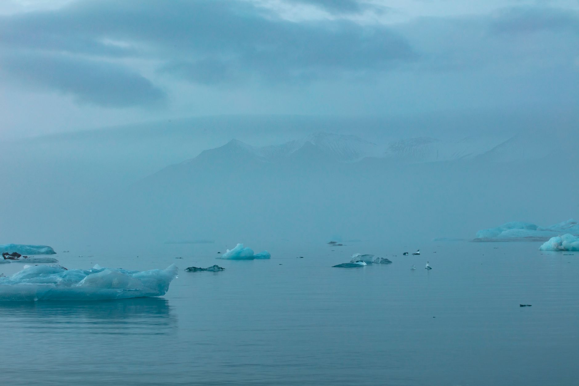 Icebergs floating in misty Arctic waters, showcasing serene natural beauty. Perfect for climate and travel themes.
